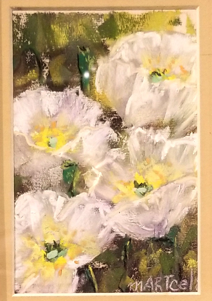 pastel drawing of white poppies