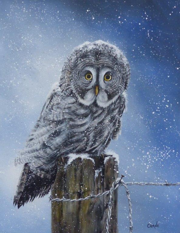 painting - great grey owl