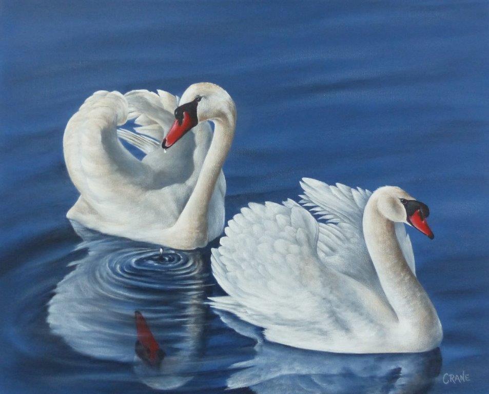 painting - mute swans