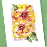 Wilma's Watercolour cards